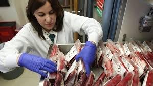 Be a Blood Bank professional through Brookline College's Medical Laboratory Science degree programs