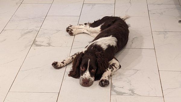 Oona resting between playtime