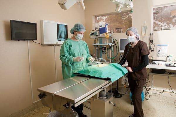 Surgery suite with the most up to date equipment.