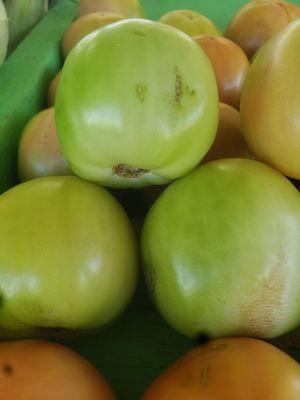 green tomatoes