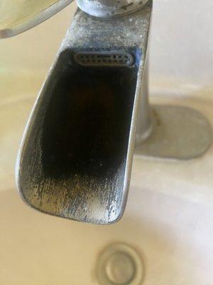 Faucets purchased 6 months ago