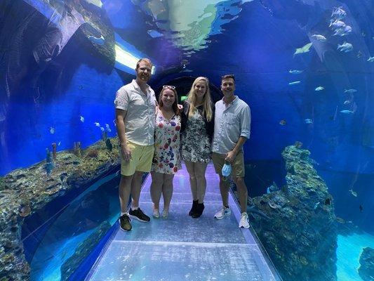 Fun day at the Aquarium!