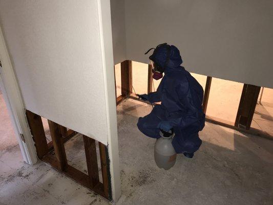 Oracle is a general contractor that provides mold removal and 3rd party testing to ensure proper removal of mold.