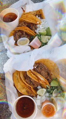 Galveston Island Tacos