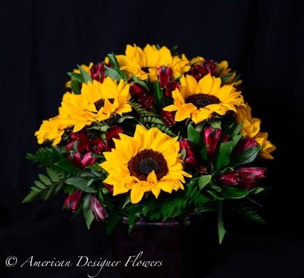 Sunshine arrangement