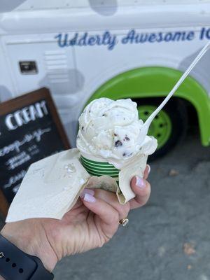 Mint 'N Chip - Single Scoop