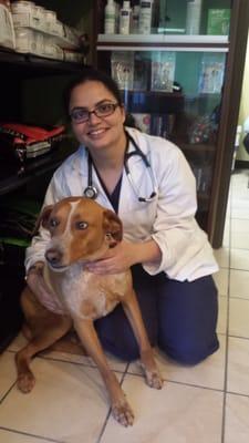 East Bay Veterinary Clinic