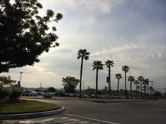 The view from the drop off loop in front of the campus