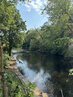 View of river from the walking path right outside of the coffee shop.