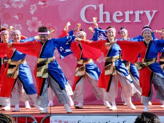 Uzumaru Yosakoi performance at the 2022 Northern California Cherry Blossom Festival in Japantown.