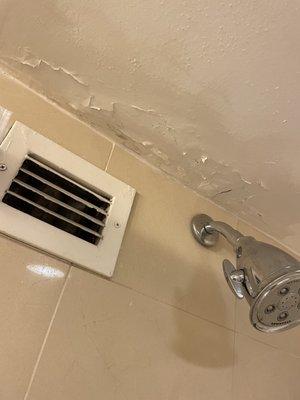 Ceiling shower fan doesn't work