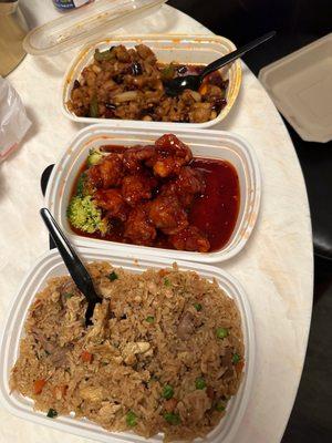 Kung pao chicken, General Tso's and house fried rice.  What you see is what we did not eat. Not impressed.