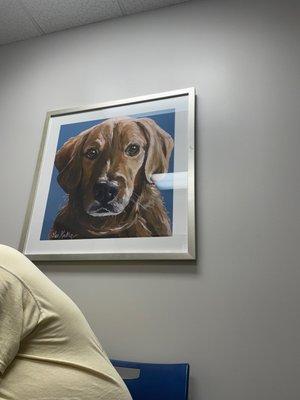 Great art work of all types of dogs throughout the office.