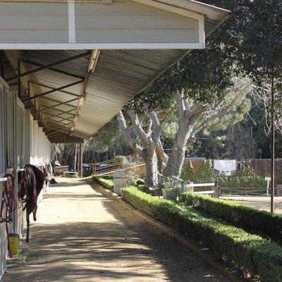 Shadow Hills Equestrian Center Boarding and Training facility