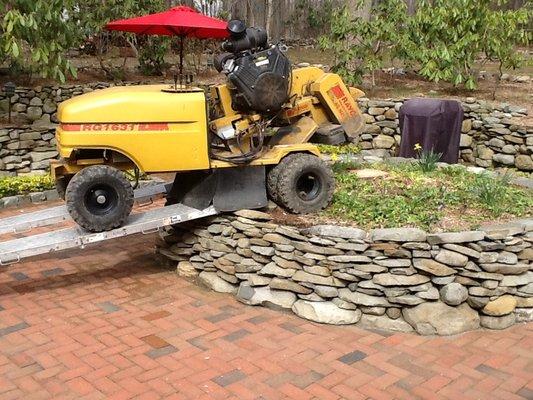 Stump Grinding