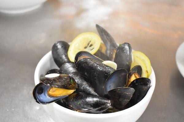 Mussels