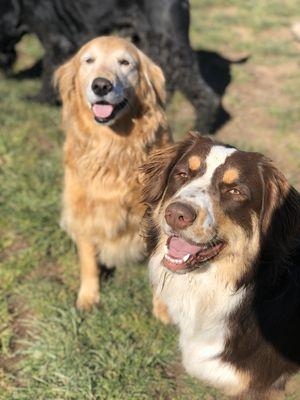 Gracie and Logan enjoying the sun!