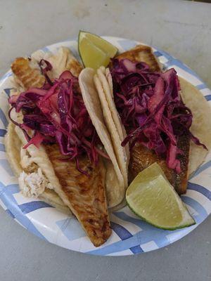 Fish tacos