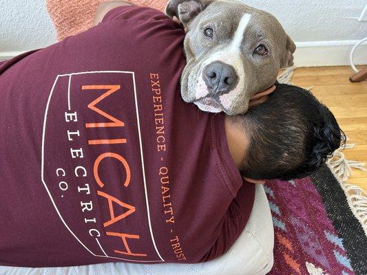 Pups and their owners agree, Micah Electric Co. helps make their homes cozy!