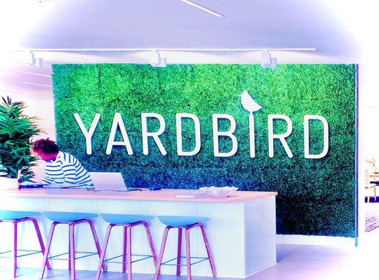 Yardbird