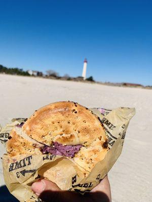 Blueberry cream cheese on everything bagel