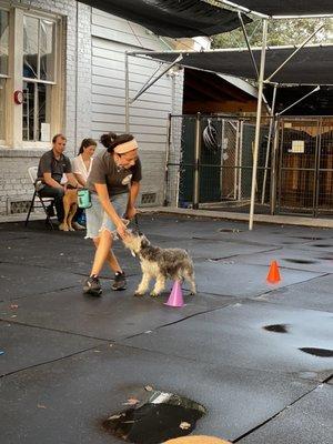 Instructor Yennifer teaching leash training techniques in basic manners class