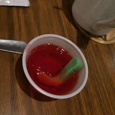 Watermelon Jell-O shot