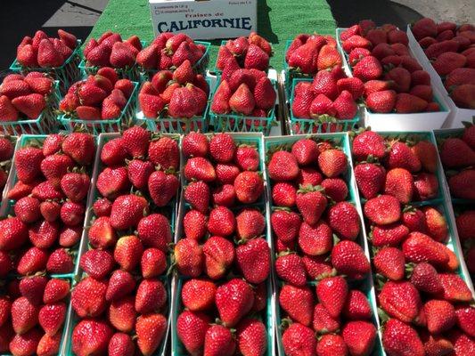 Orcutt Tuesday Farmers Market