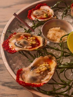 Oysters escarchados- pickled red onion, spicy clam juice