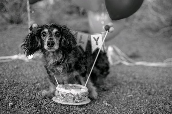 Adorable cake