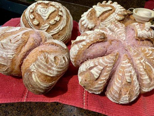 Fresh Pink Sourdough