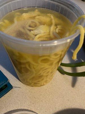 Large chicken noodle soup