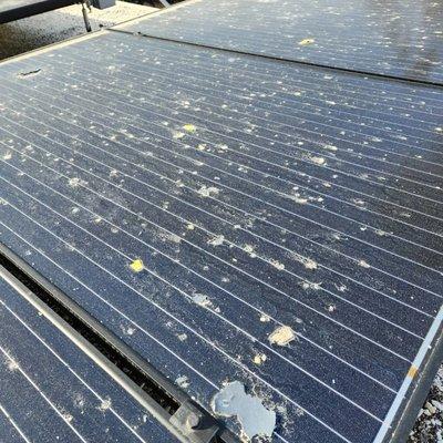 Solar panel cleaning in Rancho Mirage, California before completion.