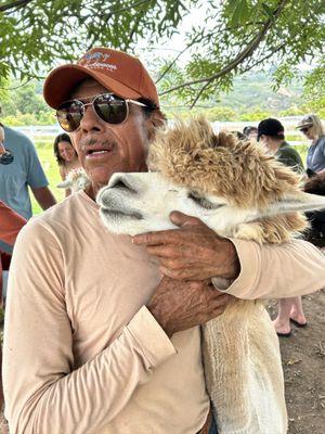 These alpacas are well loved