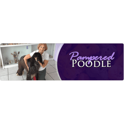 Pampered Poodle