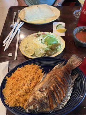 Mojarra in front and burrito in back