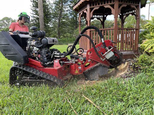 Stump removal professionals