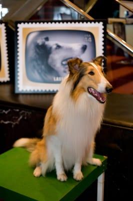 Lassie at USPS Stamp Dedication