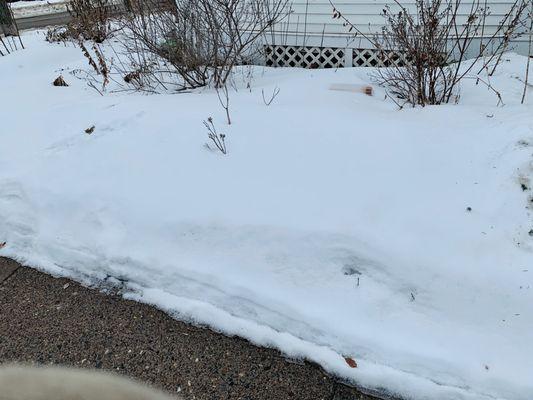 Is that a paper melting out of a snow bank?