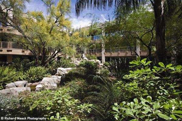 Scottsdale Professional Building atrium