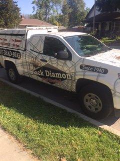 Call us for your pest control needs. 317-890-2847. Also visit us on www.bdindianapolis.com. ALL BUGS ARE DEAD BUGS!!