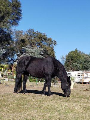 Lots of nearby ranches