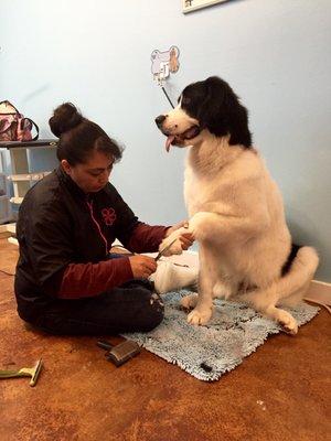 Gretel, getting a mani-pedi by Rosanne.