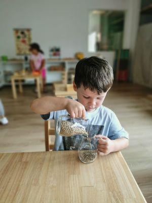 Educational Preschool in Shadowridge, Vista. Practical life activity #concentration, #focus #fine motor skills.