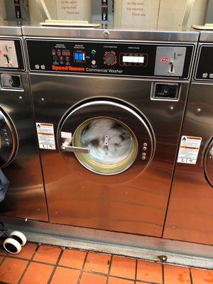 8 washers. $3 a load. Quarters only (but they have change if you have bills)