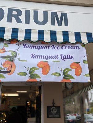 Storefront for the Kumquat Festival