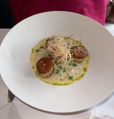 Seared Sea Scallops over risotto