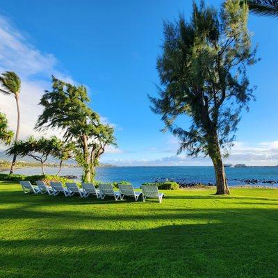 Lawn area leading to beach.