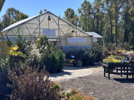 Right side of nursery with large selection of annual and perennial plants.