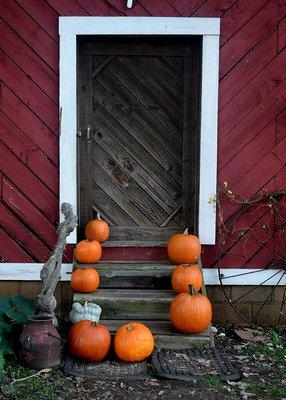 Hodges Family Farm